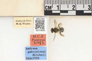 Media type: image;   Entomology 774030 Aspect: Labels